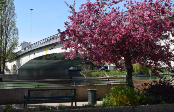 Pont de Bry avec un arbre aux feuilles roses