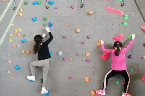 Enfants qui font de l'escalade