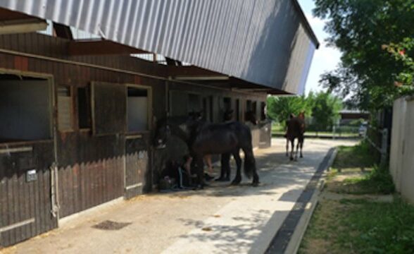 Centre équestre
