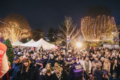 Foule avec illuminations en arrière plan - Agrandir l'image 17 sur 21, fenêtre modale