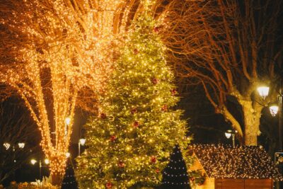 Sapin et arbre illuminés - Agrandir l'image 21 sur 21, fenêtre modale