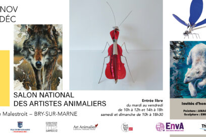 Visuel événement - Agrandir l'image, fenêtre modale