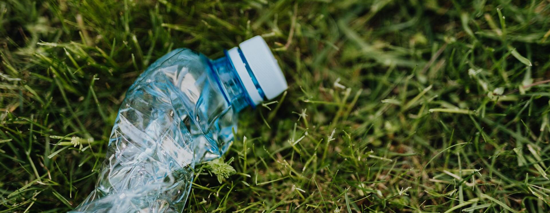 Bouteille dans l'herbe