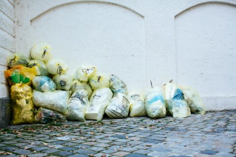 Poubelles dans la rue