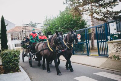 Calèche tirée par des chevaux - Agrandir l'image 2 sur 24, fenêtre modale
