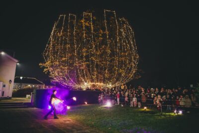 Spectacle de feu devant un arbre décoré de guirlandes - Agrandir l'image 22 sur 24, fenêtre modale