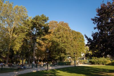 Vue sur des arbres - Agrandir l'image 3 sur 3, fenêtre modale