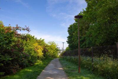 Chemin entre les arbres - Agrandir l'image 3 sur 8, fenêtre modale