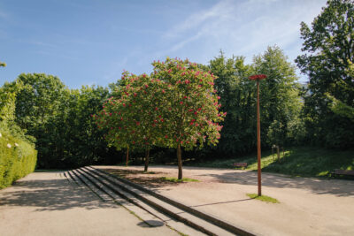 Arbres en fleurs - Agrandir l'image 4 sur 8, fenêtre modale