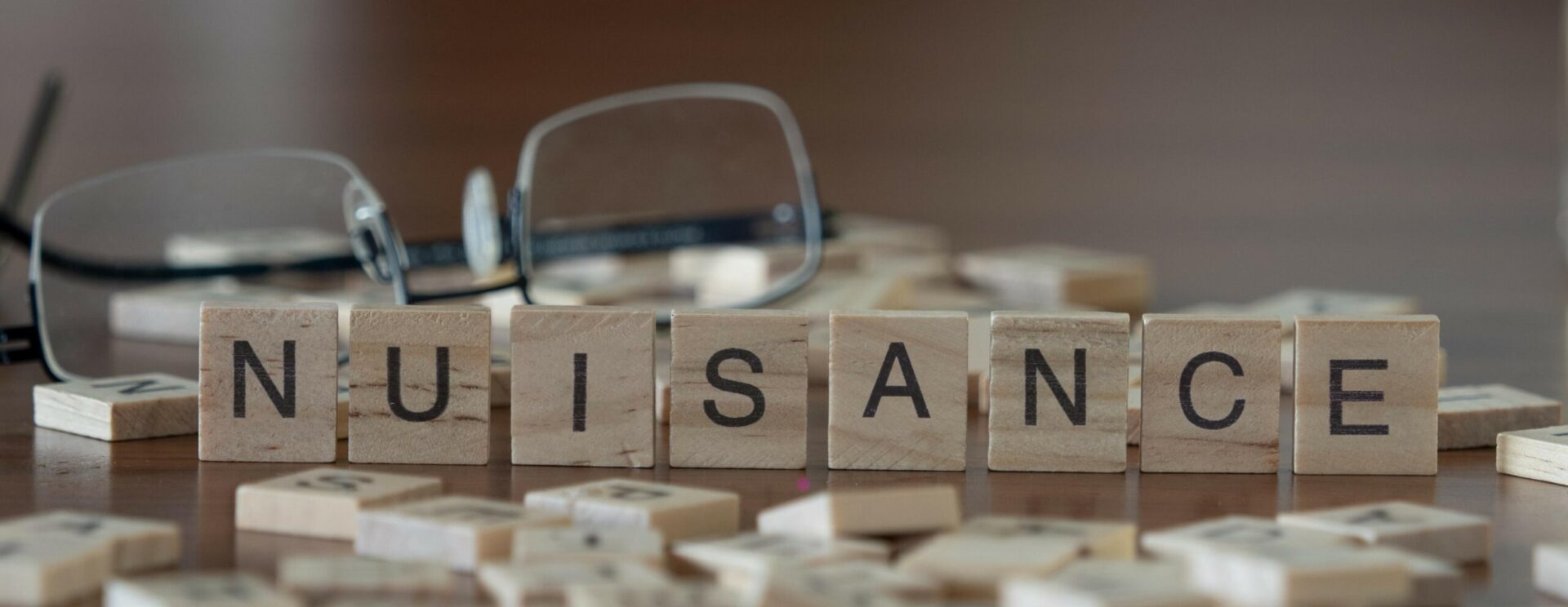 Mot "Nuisance" en cube de bois