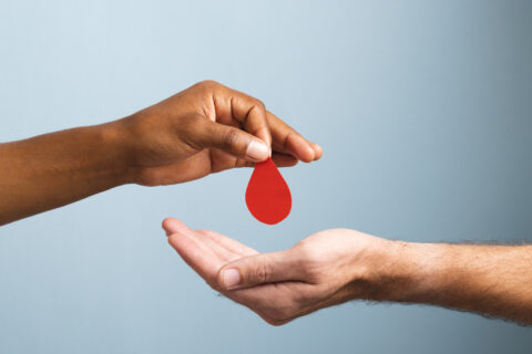 Visuel don du sang