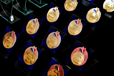 Présentation de médailles - Agrandir l'image 1 sur 18, fenêtre modale