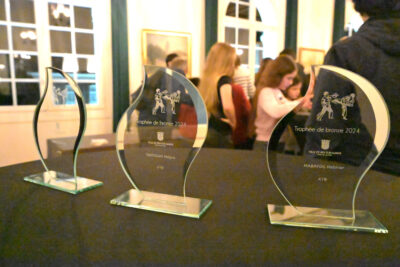 Présentation des trophées - Agrandir l'image 18 sur 18, fenêtre modale