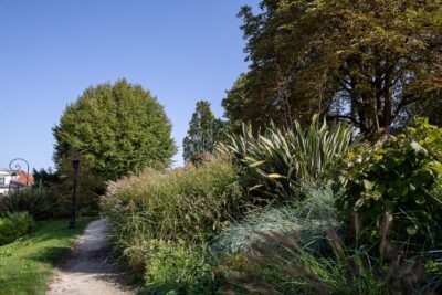 Agrandir l'image 1 sur 3, fenêtre modale