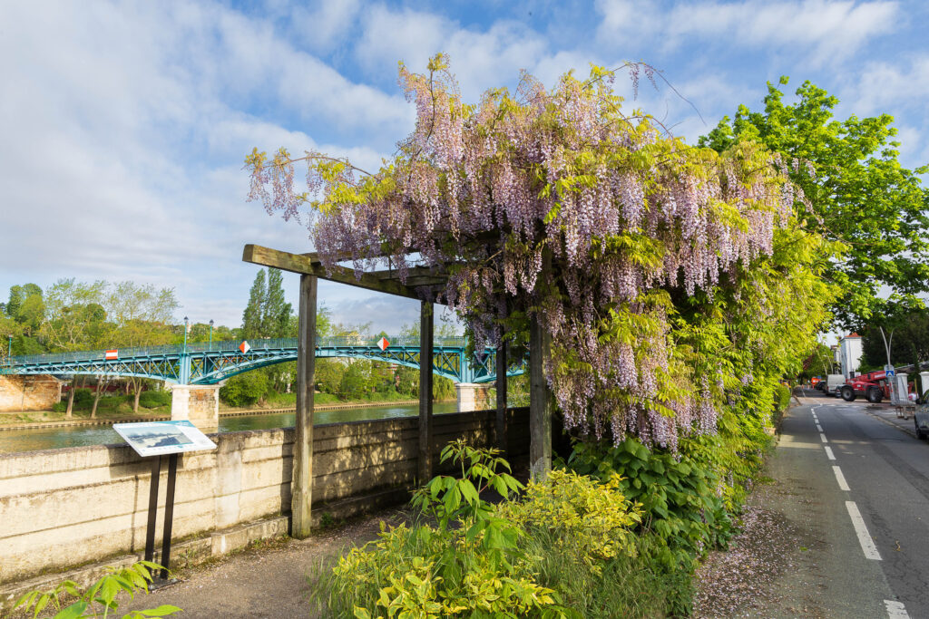 Agrandir l'image, fenêtre modale