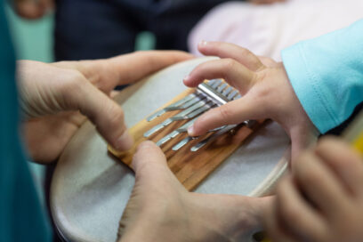 Agrandir l'image, fenêtre modale