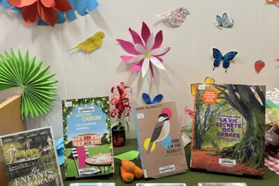 Agrandir l'image 7 sur 10, fenêtre modale